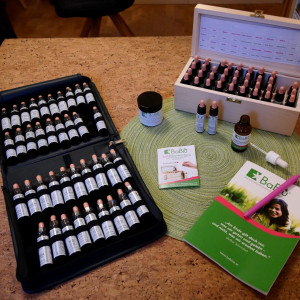 Bachblütenpraxis Wiener Neustadt - Bachblütenset Bachblütenpraxis Wiener Neustadt - Bachblütenset