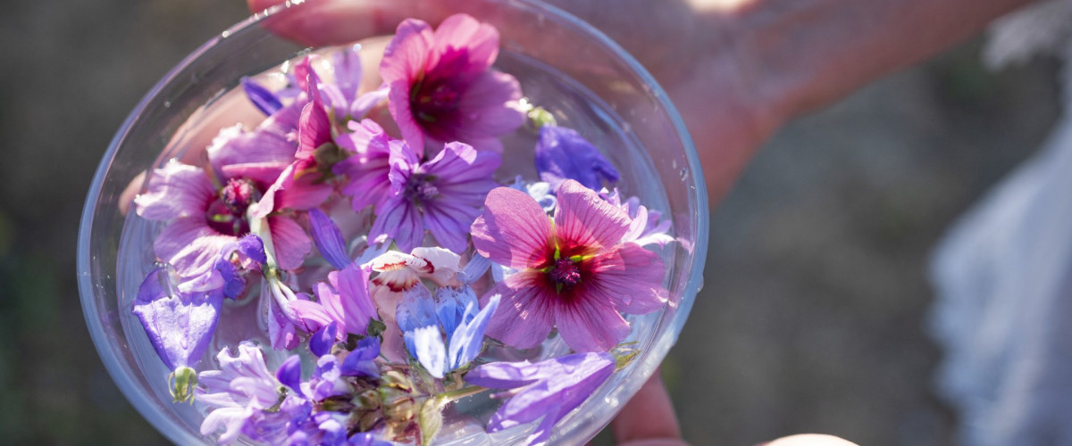 Bachblüten Essenzen im Wasser