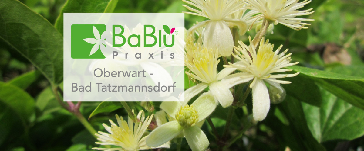 BaBlü® Praxis Oberwart - Banner