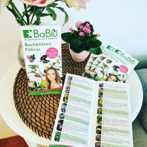 Bachblütenführer Bachblütenführer