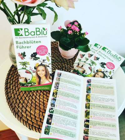 Bachblütenführer