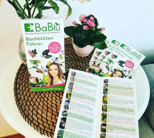 Bachblütenführer