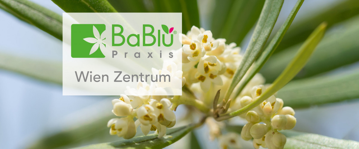 BaBlü® Praxis Wien Zentrum Banner