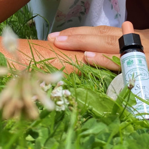 BaBlü® Praxis Graz-Süd - In der Natur BaBlü® Praxis Graz-Süd - In der Natur