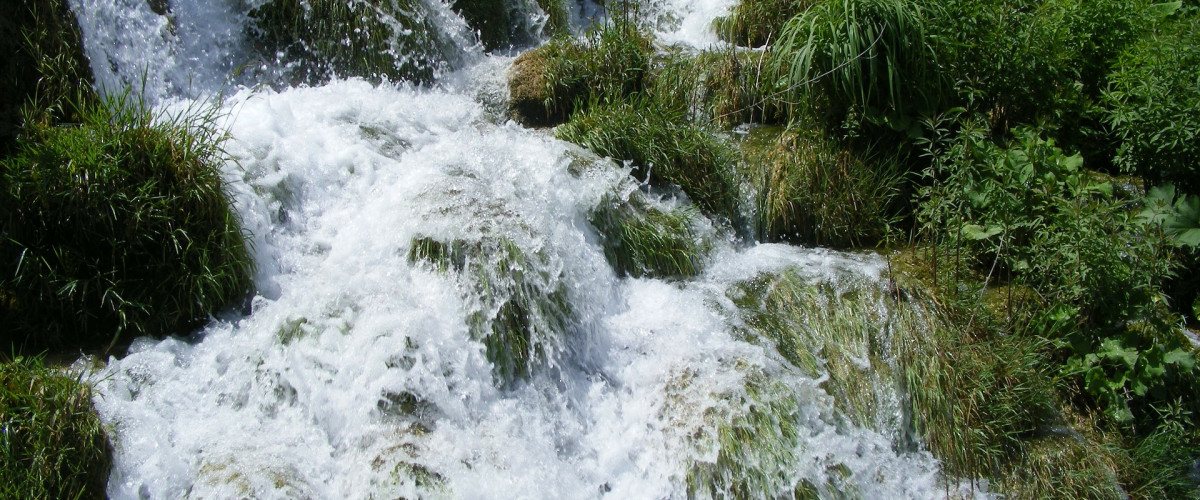 Bachblüte Rock Water