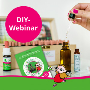 DIY-Webinar