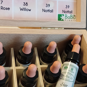 Bachblütenset - BaBlü® Praxis Breitenbrunn am Neusiedlersee - Sandra Hafner Bachblütenset - BaBlü® Praxis Breitenbrunn am Neusiedlersee - Sandra Hafner