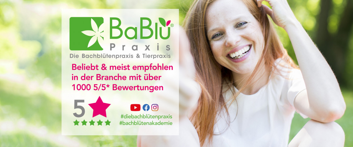 BaBlü® Empfehlungen