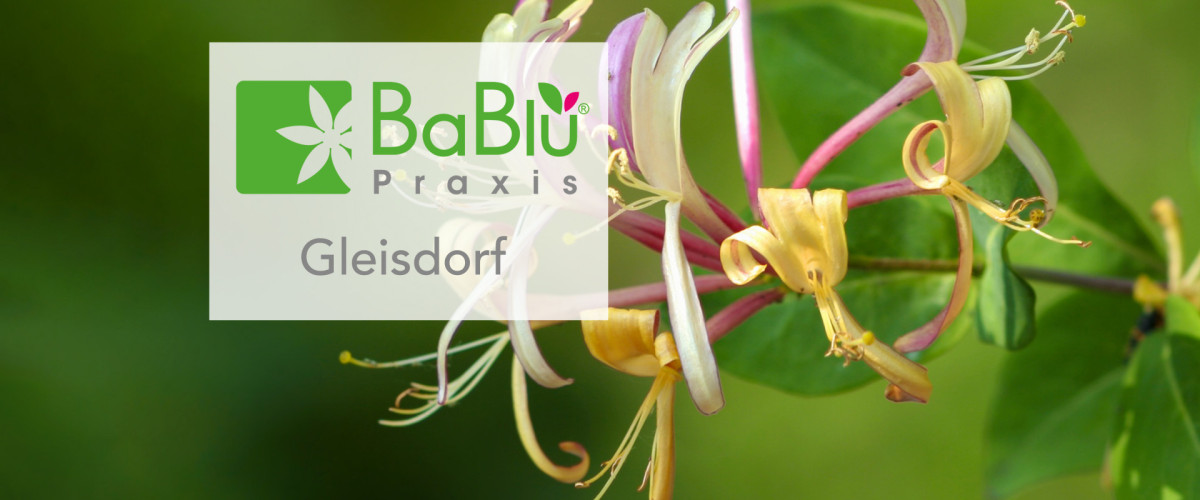 BaBlü® Praxis Wien Zentrum Banner