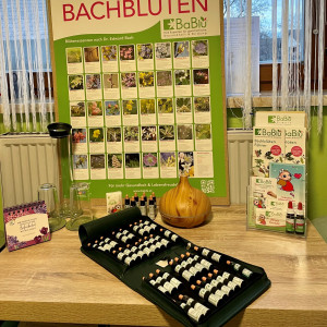 BaBlü® Bachblütenpraxis - Tulln Nord BaBlü® Bachblütenpraxis - Tulln Nord