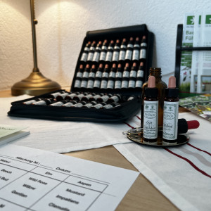 BaBlü® Praxis Birkfeld - Bachblütenset BaBlü® Praxis Birkfeld - Bachblütenset