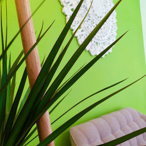 BaBlü® Die Bachblütenpraxis Graz Ost/Hart bei Graz - Sabine Zopf BaBlü® Die Bachblütenpraxis Graz Ost/Hart bei Graz - Sabine Zopf