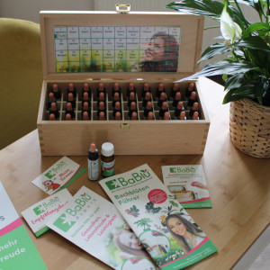 BaBlü® Die Bachblütenpraxis Purgstall - Manuela Enengl BaBlü® Die Bachblütenpraxis Purgstall - Manuela Enengl