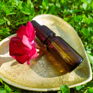 BaBlü® Die Bachblütenpraxis Graz Ost/Hart bei Graz - Sabine Zopf BaBlü® Die Bachblütenpraxis Graz Ost/Hart bei Graz - Sabine Zopf