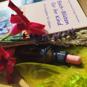 BaBlü® Die Bachblütenpraxis Graz Ost/Hart bei Graz - Sabine Zopf BaBlü® Die Bachblütenpraxis Graz Ost/Hart bei Graz - Sabine Zopf