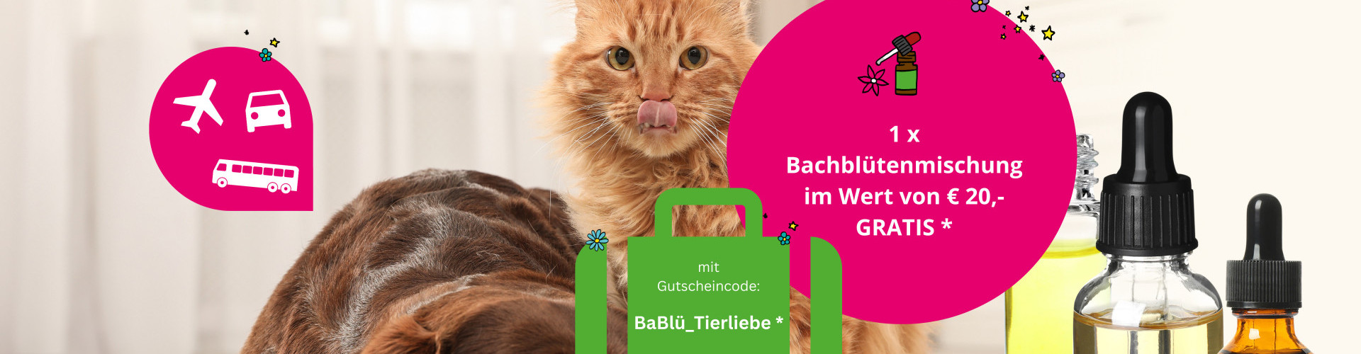 BaBlü® Tierpraxis Sommeraktion %