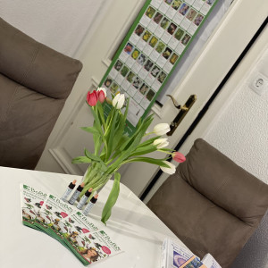 BaBlü® Die Bachblütenpraxis Eisenerz - Marlene Pump BaBlü® Die Bachblütenpraxis Eisenerz - Marlene Pump