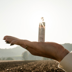 BaBlü® Die Bachblütenpraxis Gralla by Isabella Samer BaBlü® Die Bachblütenpraxis Gralla by Isabella Samer