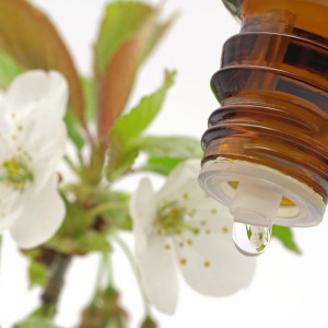 Bachblüten Tropfen Bachblüten Tropfen