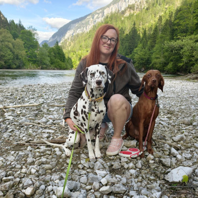 BaBlü® Die Bachblütenpraxis Rohrbach-Berg im Mühlviertel by Lisa Patrasso BaBlü® Die Bachblütenpraxis Rohrbach-Berg im Mühlviertel by Lisa Patrasso