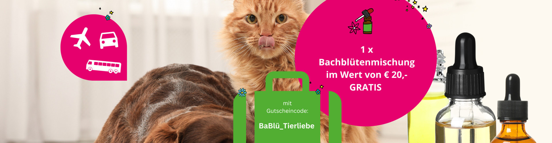 BaBlü® Tierpraxis – Aktion für Bachblütenberatung für Tiere %
