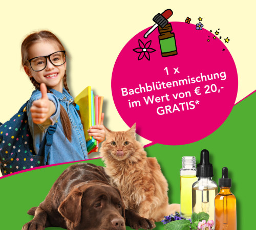 BaBlü Praxis Sommeraktion bis Ende September
